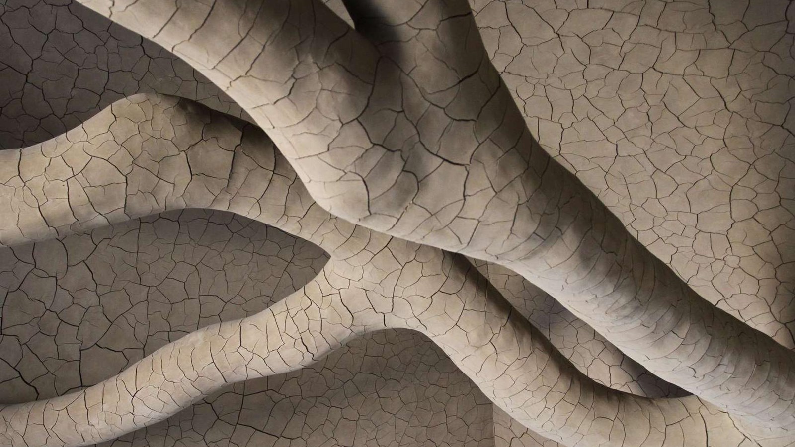 Andy Goldsworthy, Tree Fall, 2013 — eucalyptus branch covered in clay mounted on ceiling of Historic Stone Powder Magazine